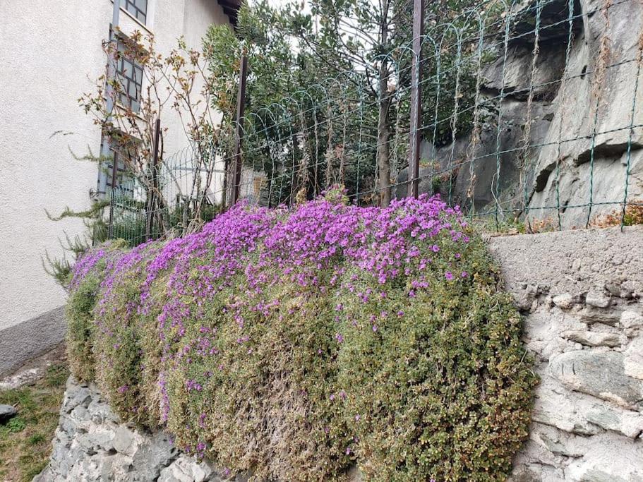 Ormea nel cuore Esterno foto